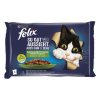 8263_Felix AGAIL Rind, Huhn, Forelle, Lachs